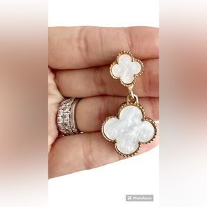 NWT Dangling Earrings